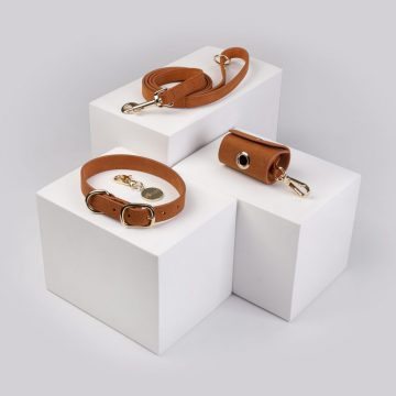 Dog-Collar-Walk-Kit-boeme-Flaneur (1)