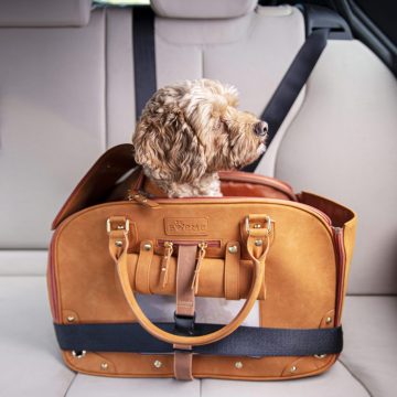boeme-pet-carrier-En-Vacances