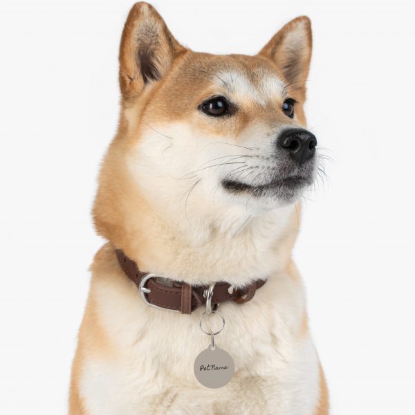 Personalized Pet Tag with QR Code - Image 6