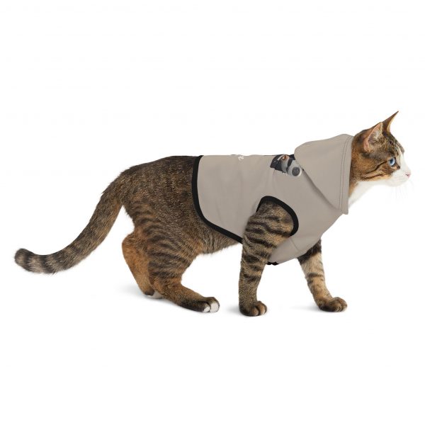 Pet Hoodie with QR Code - Frenchie - Image 6