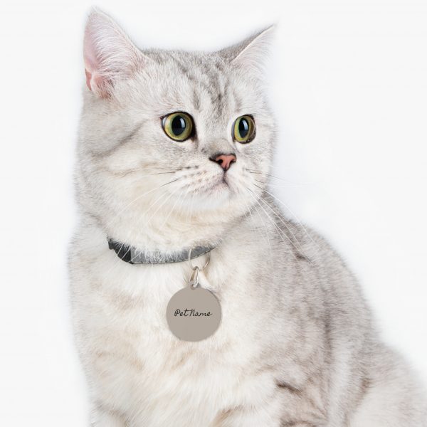 Personalized Pet Tag with QR Code - Image 7