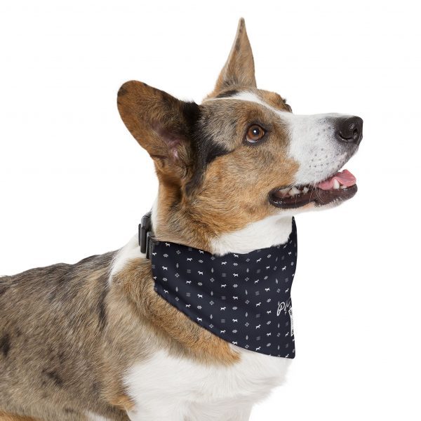 Pet Bandana Collar- Gabbeh pattern - Navy - Image 9