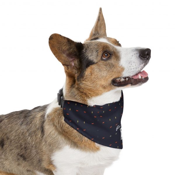 Pet Bandana Collar- Gabbeh pattern - Image 9