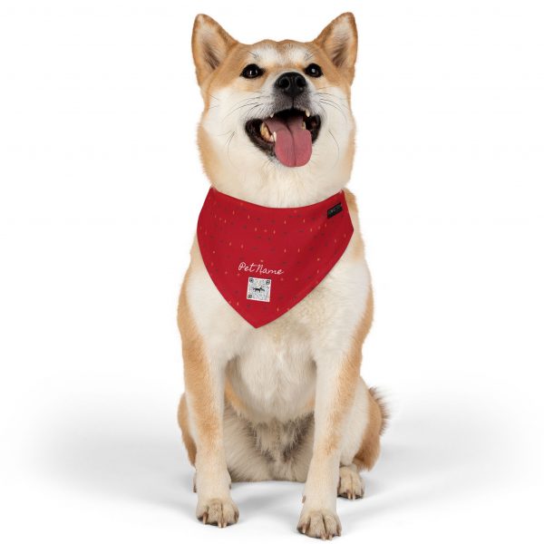Pet Bandana Collar- Gabbeh pattern - Image 3