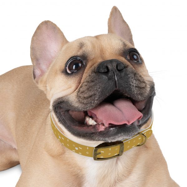 Dog Collar - Gabbeh pattern- Mustard - Image 4