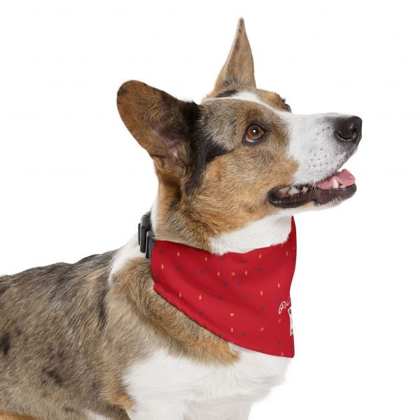 Pet Bandana Collar- Gabbeh pattern - Image 9